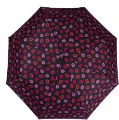 BiggDesign Windproof Paraplu - Automatisch - Opvouwbaar - Ø100cm -Regenjas En Paraplu 1194x1200