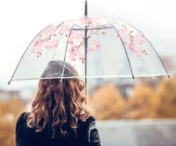 Fop En Bij Koepelparaplu - Paraplu - Doorzichtig - Voor Volwassenen - Opvouwbaar - Transparant Bloesem -Regenjas En Paraplu 1200x994 3