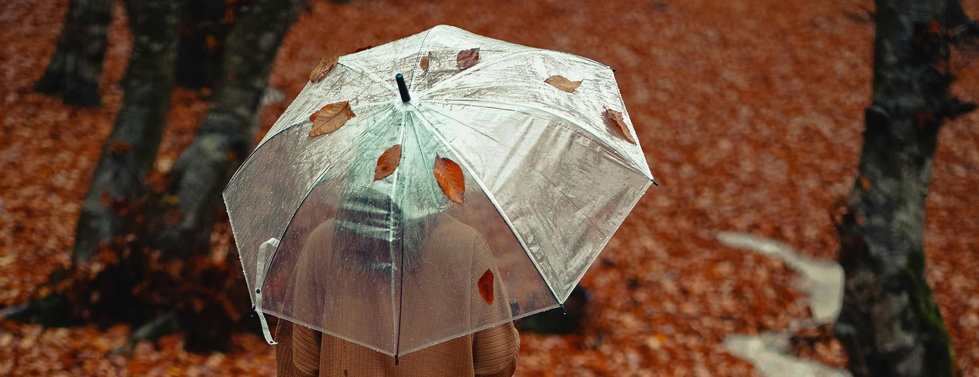 Regenjas En Paraplu -Regenjas En Paraplu pexels amin mlk 152148114 29544695